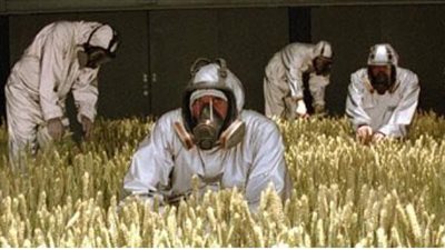قصة فيلم Fields of Gold