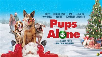 قصة فيلم Pups Alone
