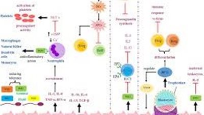 كل ما تريد معرفته عن استخدام Prostaglandins