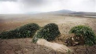 ما هو تلوث التربة؟