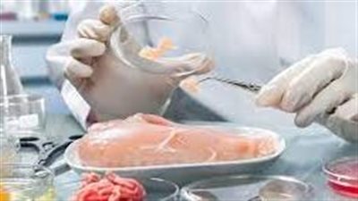 أسباب تلوث الغذاء