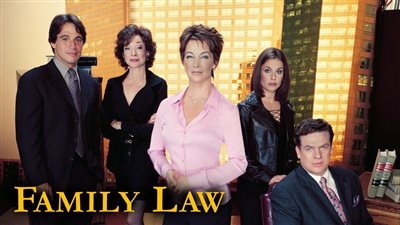 قصة مسلسل Family Law