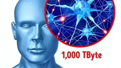 معلومات عجيبة عن جسم الإنسان