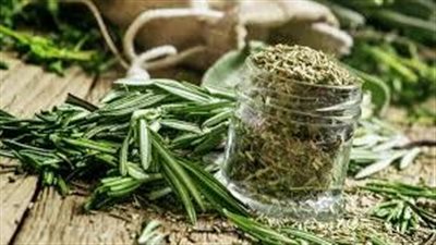 إكليل الجبل: سرّ الجمال الطبيعيّ لشعرٍ مُبهِر