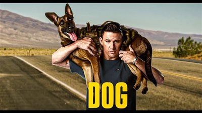 قصة فيلم Dog