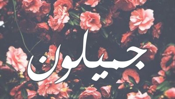 موقع أيام نيوز