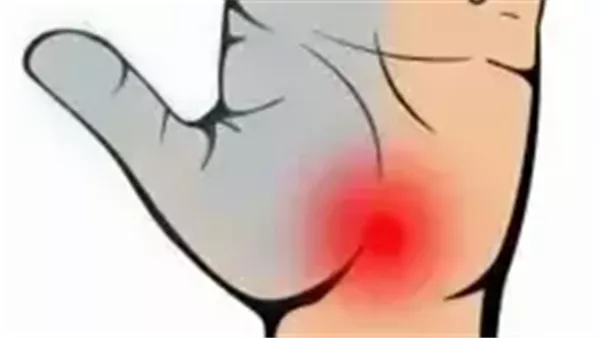 موقع أيام نيوز