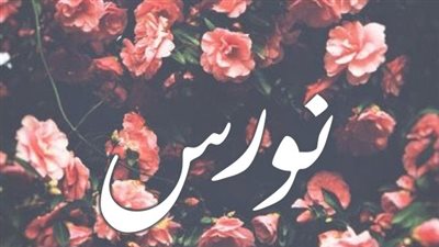معنى اسم نورس وصفات حاملة الاسم
