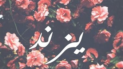 معنى اسم يزند وصفات حاملة الاسم