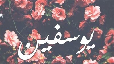 معنى اسم يوسفين وصفات حاملة الاسم
