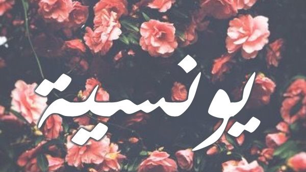 موقع أيام نيوز