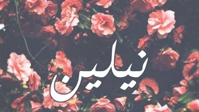 معنى اسم نيلين وصفات حاملة الاسم