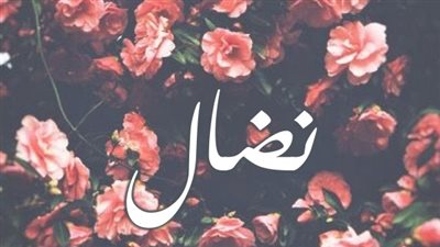معنى اسم نضال وصفات حاملة الاسم