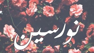 معنى اسم نورسين  وصفات حاملة الاسم