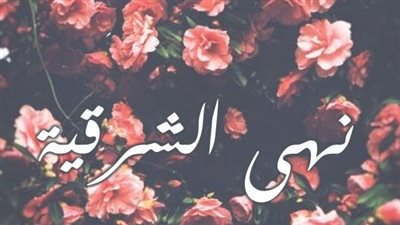 معنى اسم نهى الشرقية وصفات حاملة الاسم