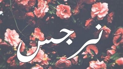 معنى اسم نرجس وصفات حاملة الاسم