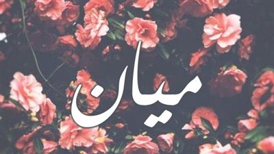 معنى اسم ميان وصفات حاملة الاسم