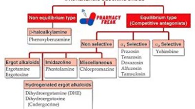 كل ما تريد معرفته عن Alpha-Adrenergic Blockers