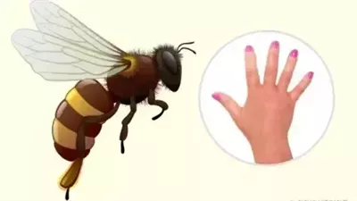 طرق تحديد نوع الحشرة التي لډغتك