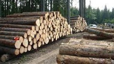 أسباب تدهور التنوع البيولوجي
