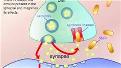 كل ما تريد معرفته عن استخدام SSRIs
