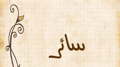 معنى اسم سائر وصفات حامل الاسم