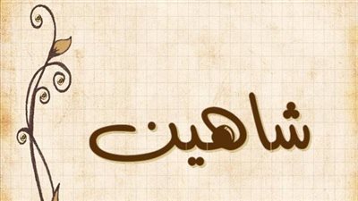 معنى اسم شاهين وصفات حامل الاسم