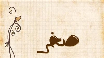 معنى اسم صخر وصفات حامل الاسم