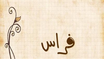 معنى اسم فراس  وصفات حامل الاسم