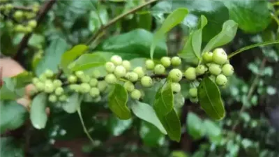علاج آلام والتهاب المفاصل بطُرُق بسيطة