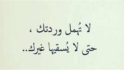 قصيدة عن العتاب
