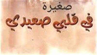 ملخص رواية صغيرة في قلب صعيدي