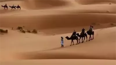 أصل عائلة القحطاني