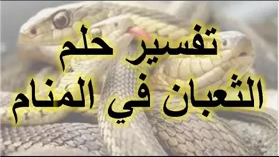 تعرف على تفسير حلم الثعبان في المنام