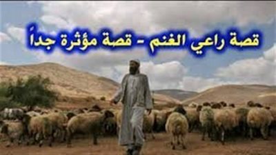 حكاية راعي الغنم
