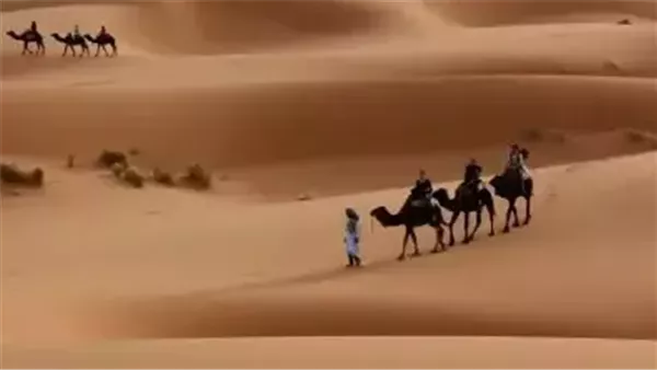 موقع أيام نيوز