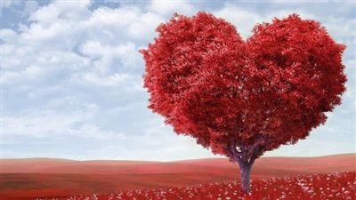 كيف يتحول الحب من طرف واحد الى طرفين ؟