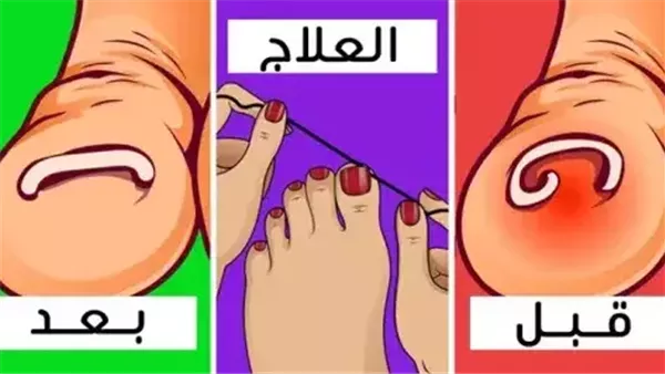 موقع أيام نيوز