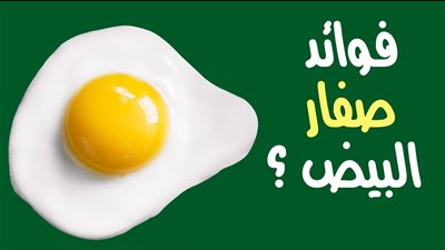 فوائد صفار البيض