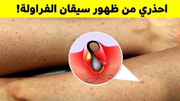 موقع أيام نيوز