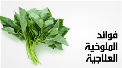 فوائد الملوخية للحامل .. تعرف عليها