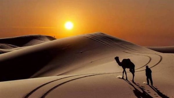 موقع أيام نيوز