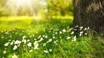 أمثلة على مكونات الطبيعة
