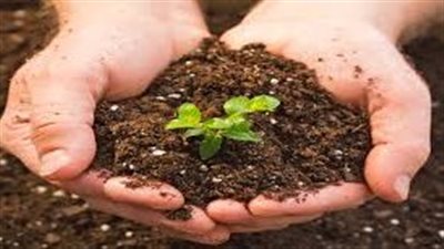 تأثير تدهور التربة على الإنسان