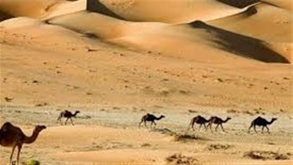 موقع أيام نيوز
