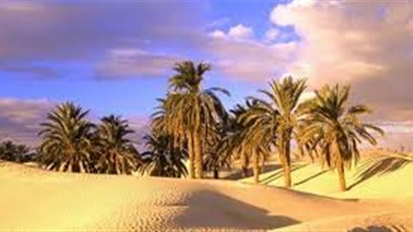 موقع أيام نيوز