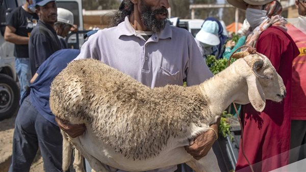 موقع أيام نيوز