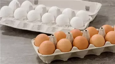 الفرق بين البيض الأبيض والبيض البني