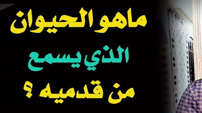 حل لغز الشيء الذي يسمع من قدميه