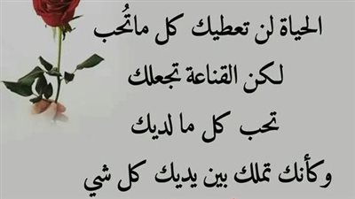 اجمل كلام عن القناعة